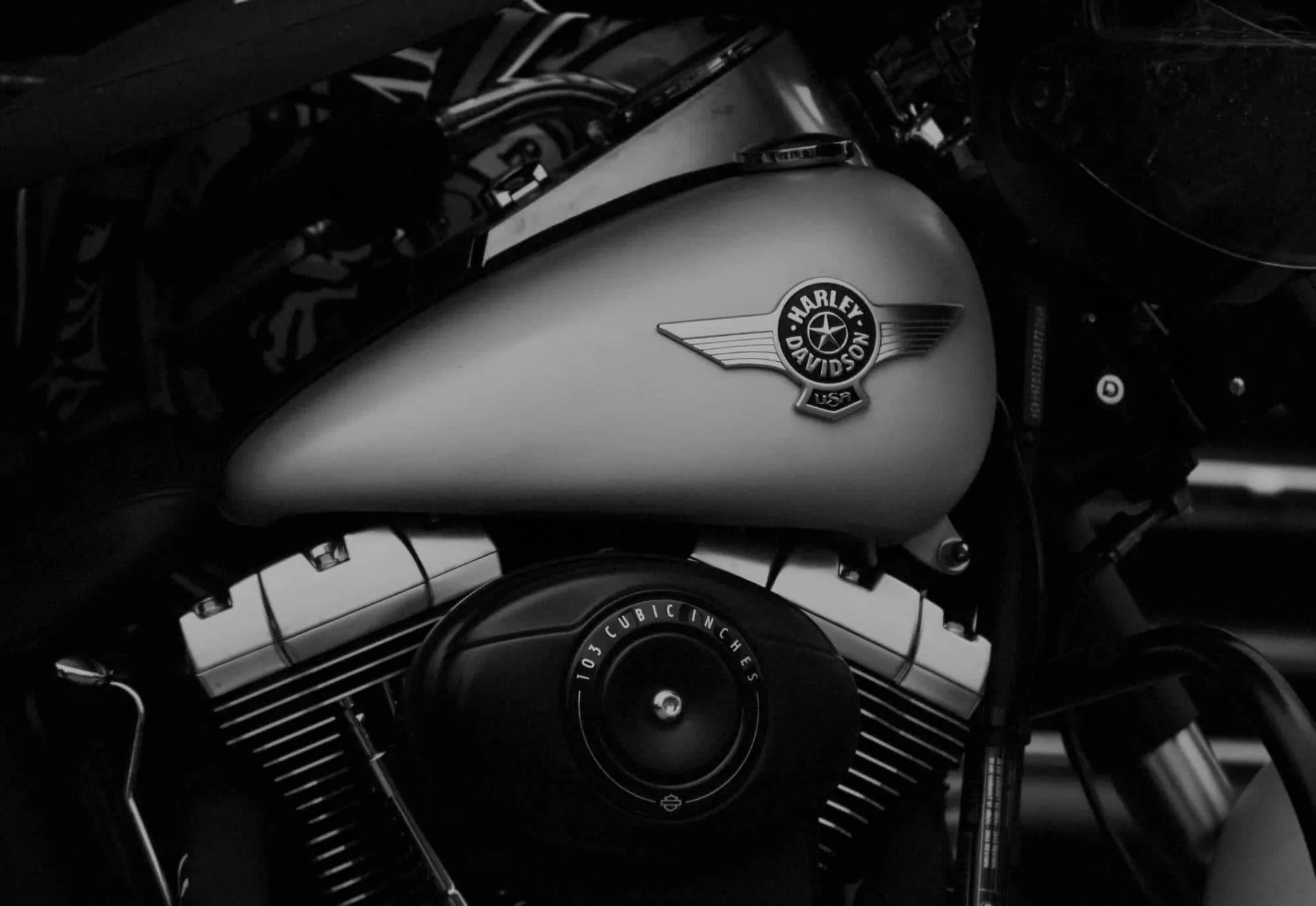Harley-Davidson fuel tank and engine Close-up of a Harley-Davidson fuel tank with its winged badge above a 103 cubic inch V-twin engine